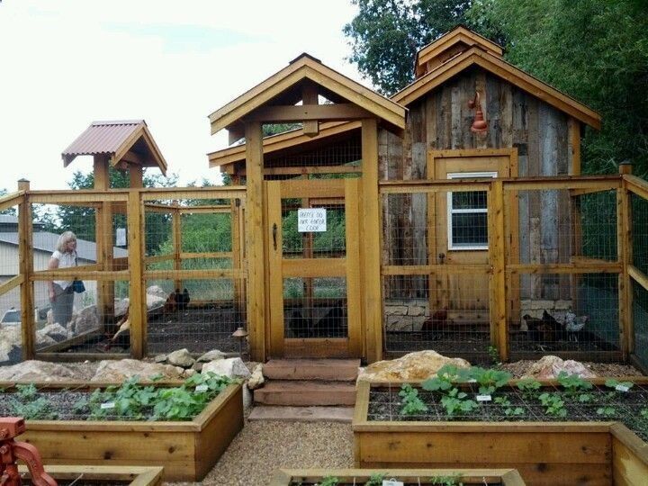 Beautiful Diy Chicken Coop Ideas You Can Actually Build