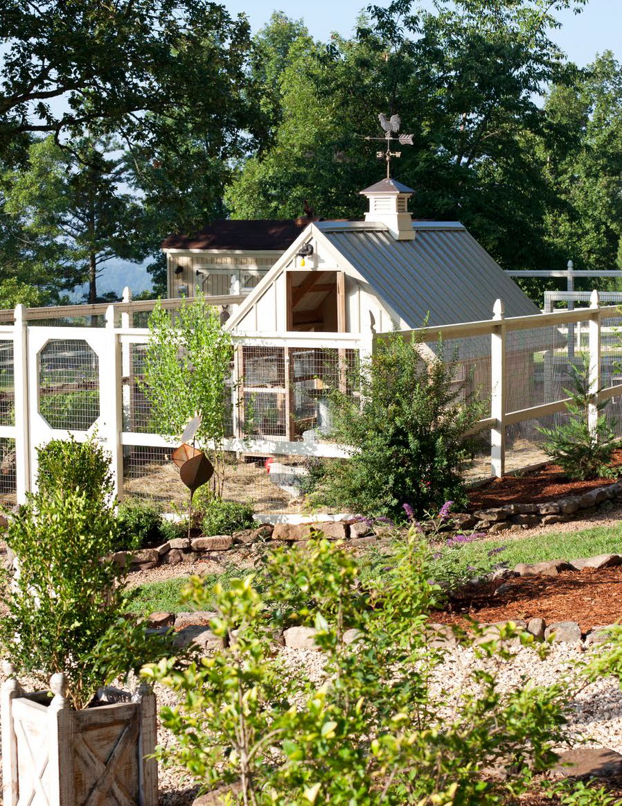 Attention Custom Backyard Chicken Coop