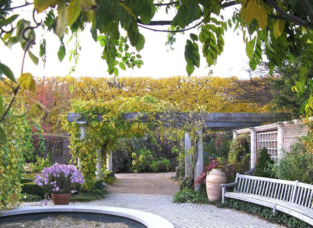 Fall Foliage