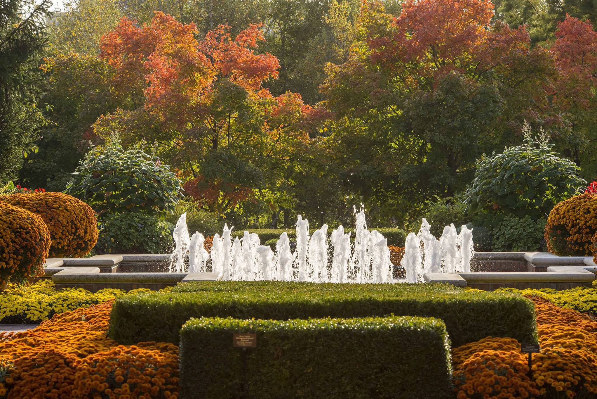 Botanicfall Chicago Botanic Garden