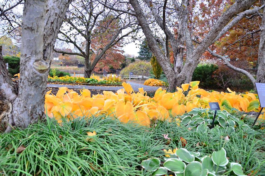 Botanical Gardens