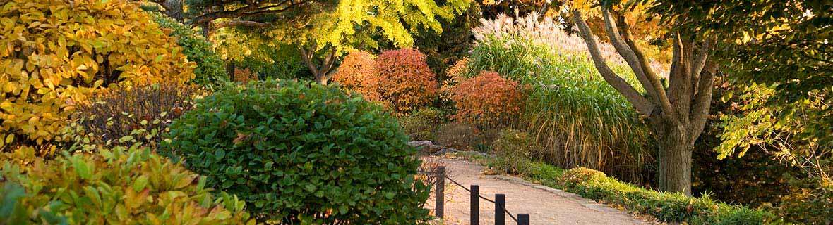 My Chicago Botanic Garden