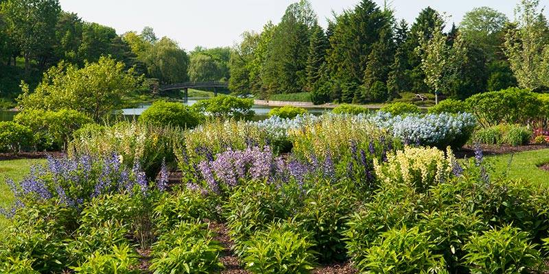 Eternal English Garden