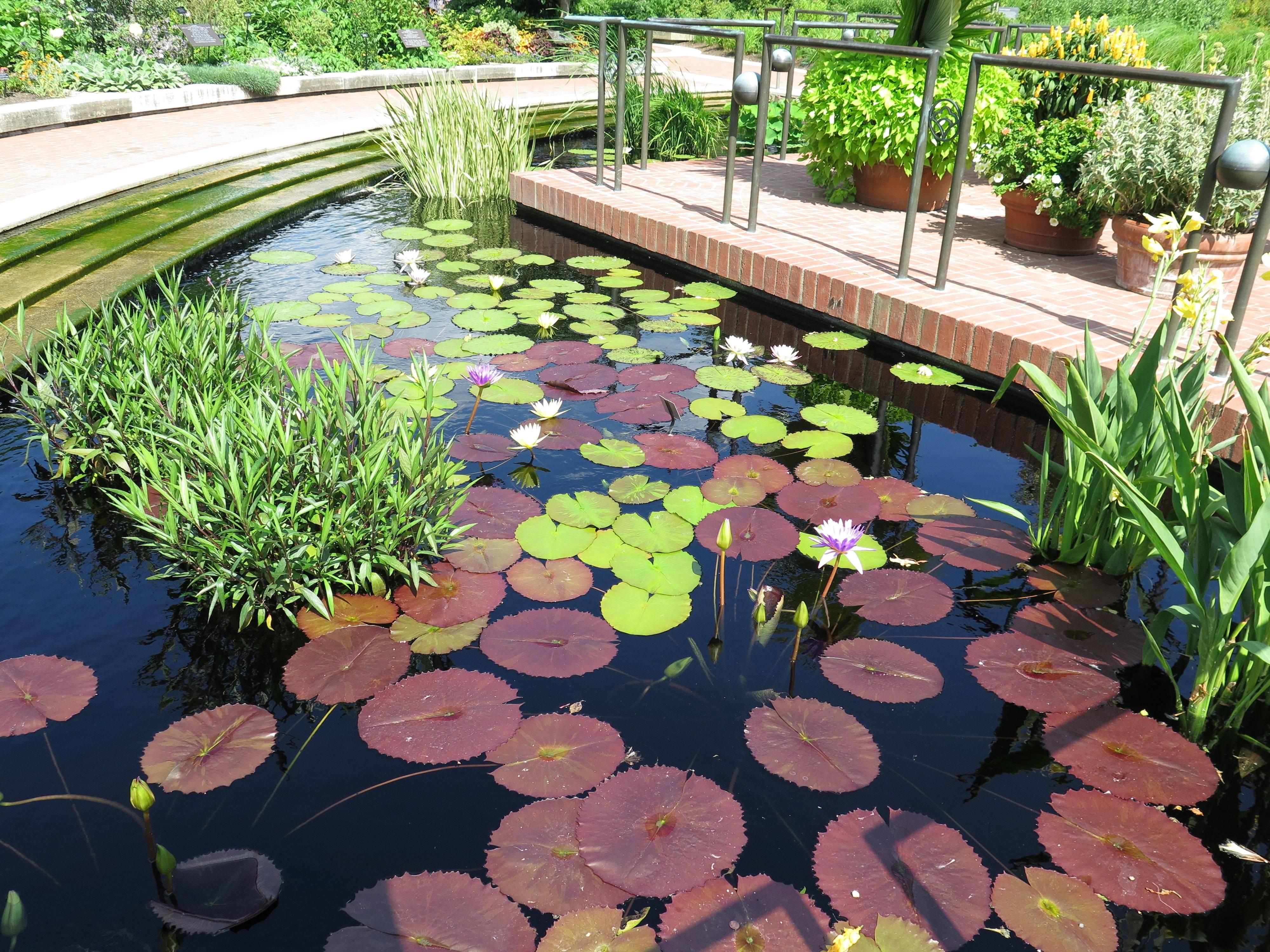 Chicago Botanic Garden Chicago Botanic Garden