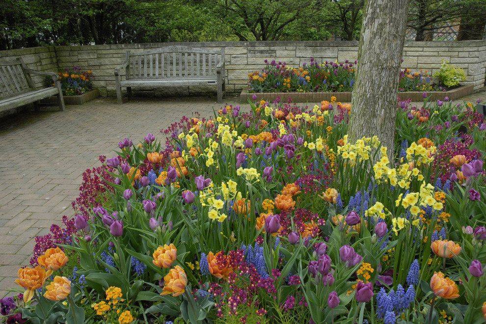 Chicago Botanic Garden Parking