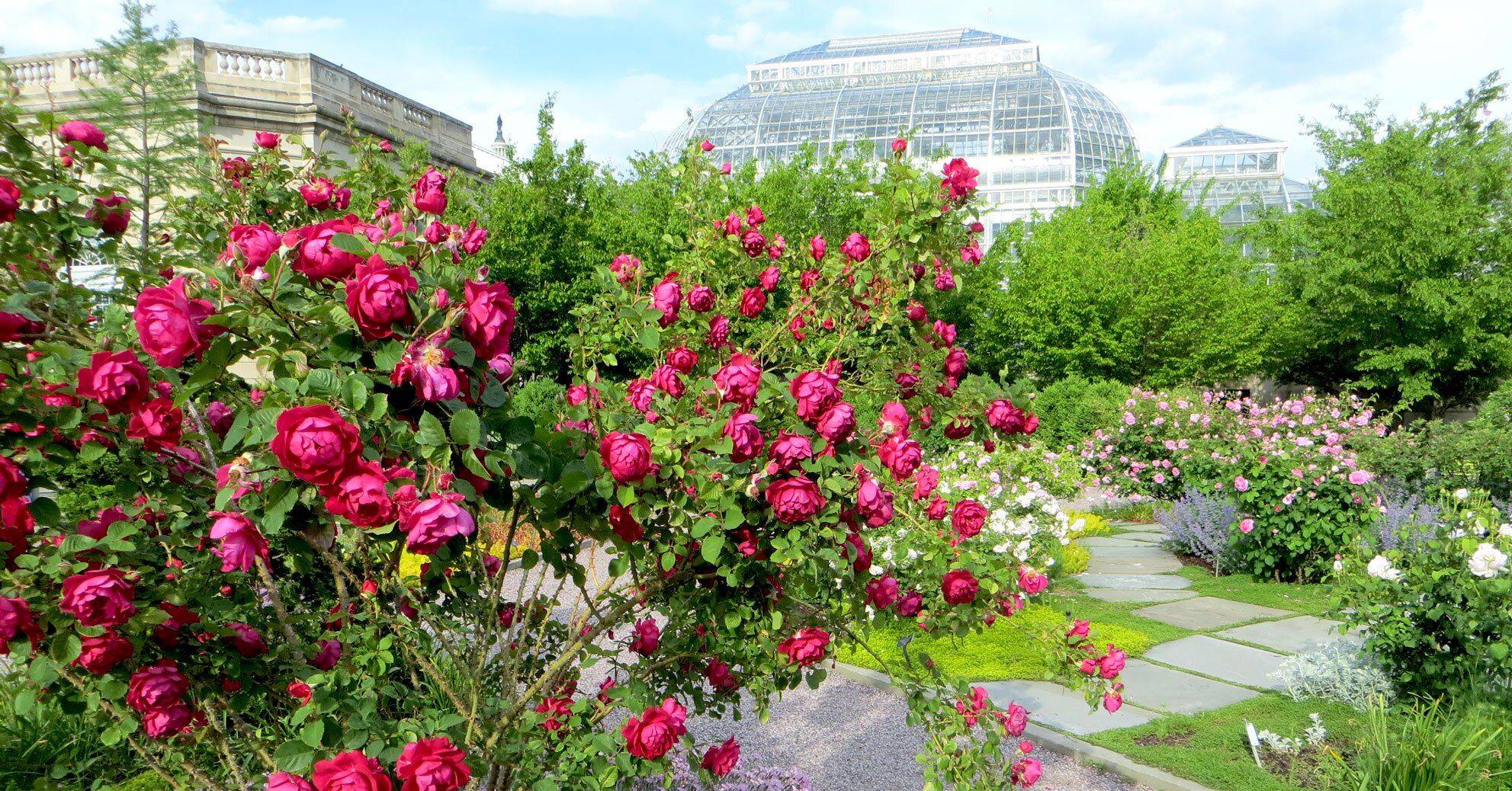 Chicago Botanic Gardens Summer Hours Chicago Botanic Garden