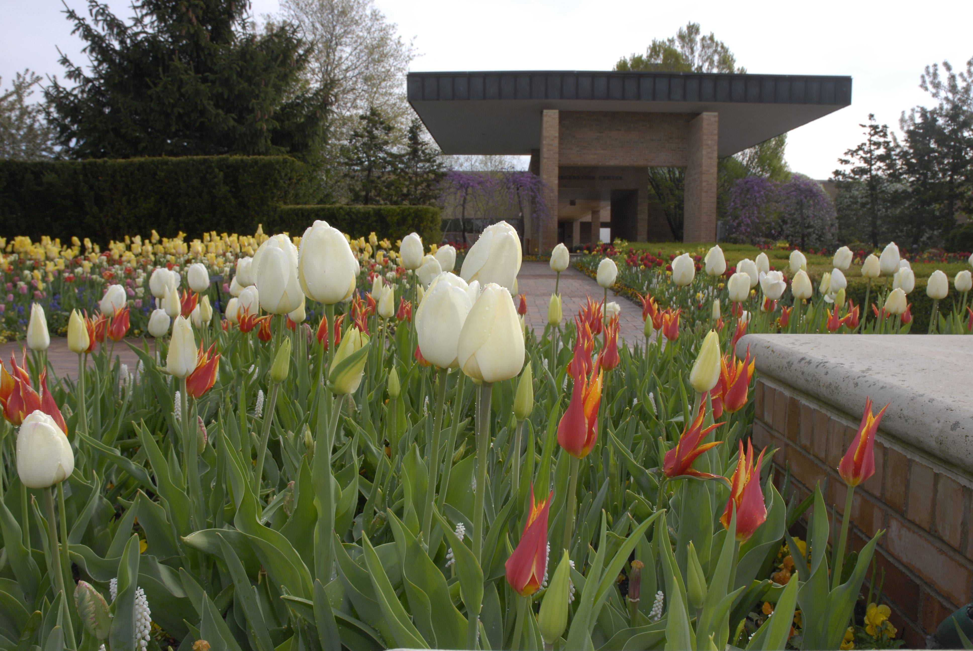 Free Virtual Garden Tours