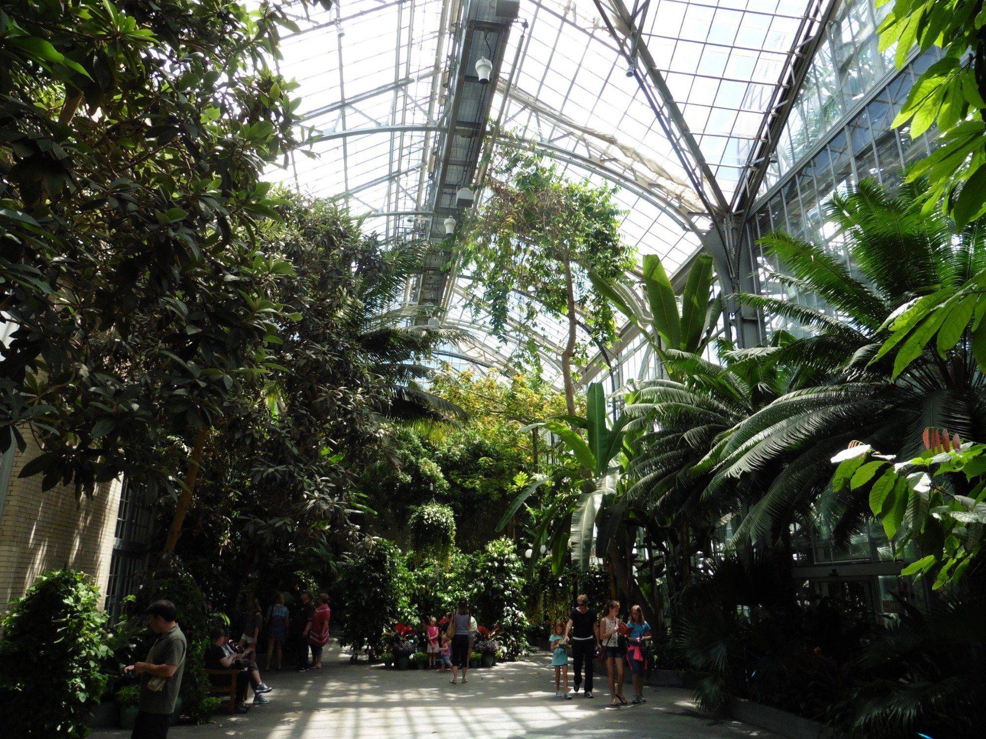 The United States Botanic Garden