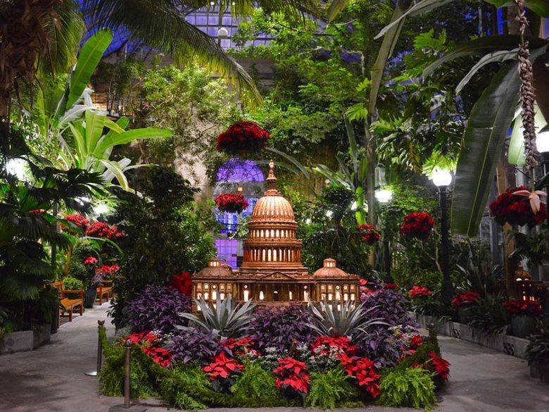 Garden Ideas