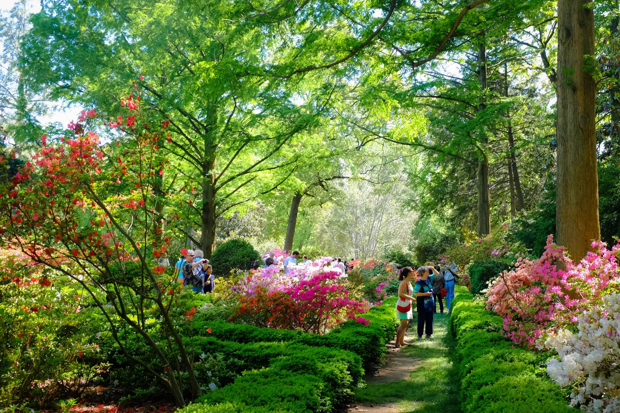 The Best Botanical Gardens