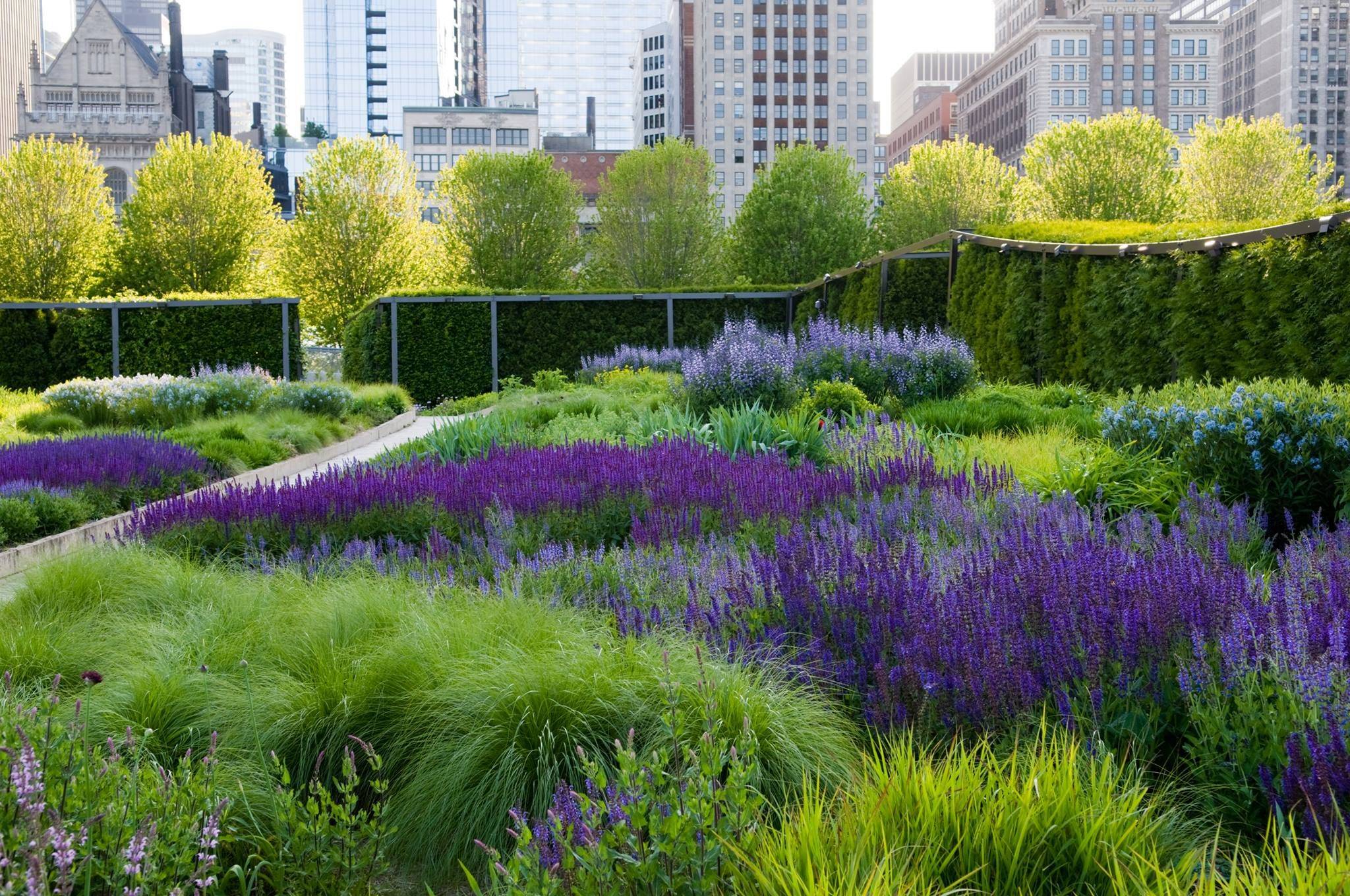 Chicago Hermoso Jardn Lurie