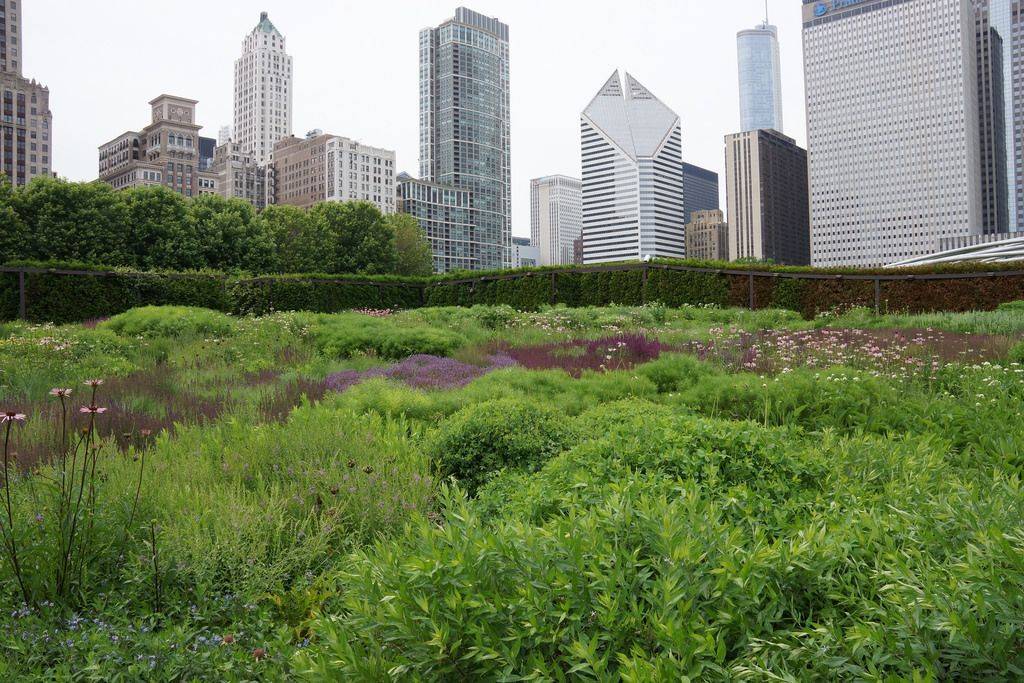 Chicagos Lurie Garden Garden Design