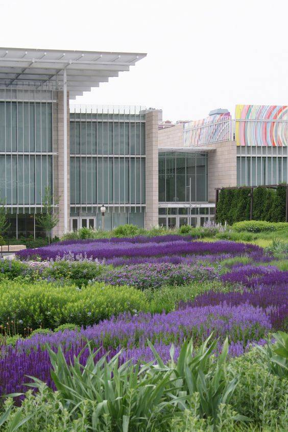 Chicagos Sustainability Strategy