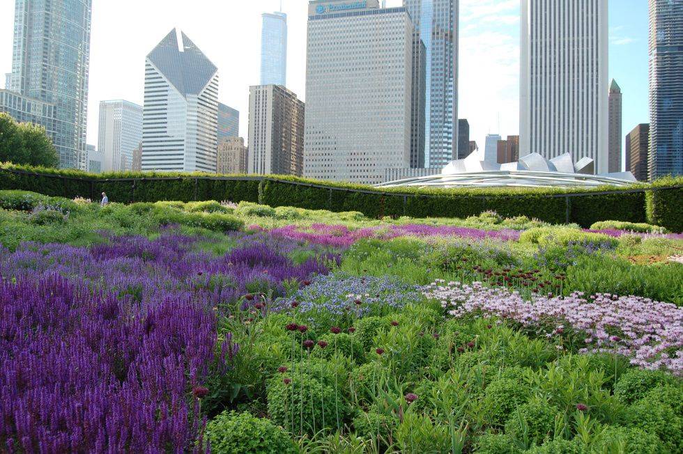 Foto Estudio Amalia Robredo