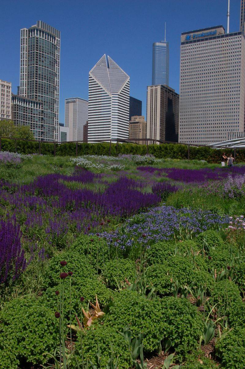 Lurie Garden Garden