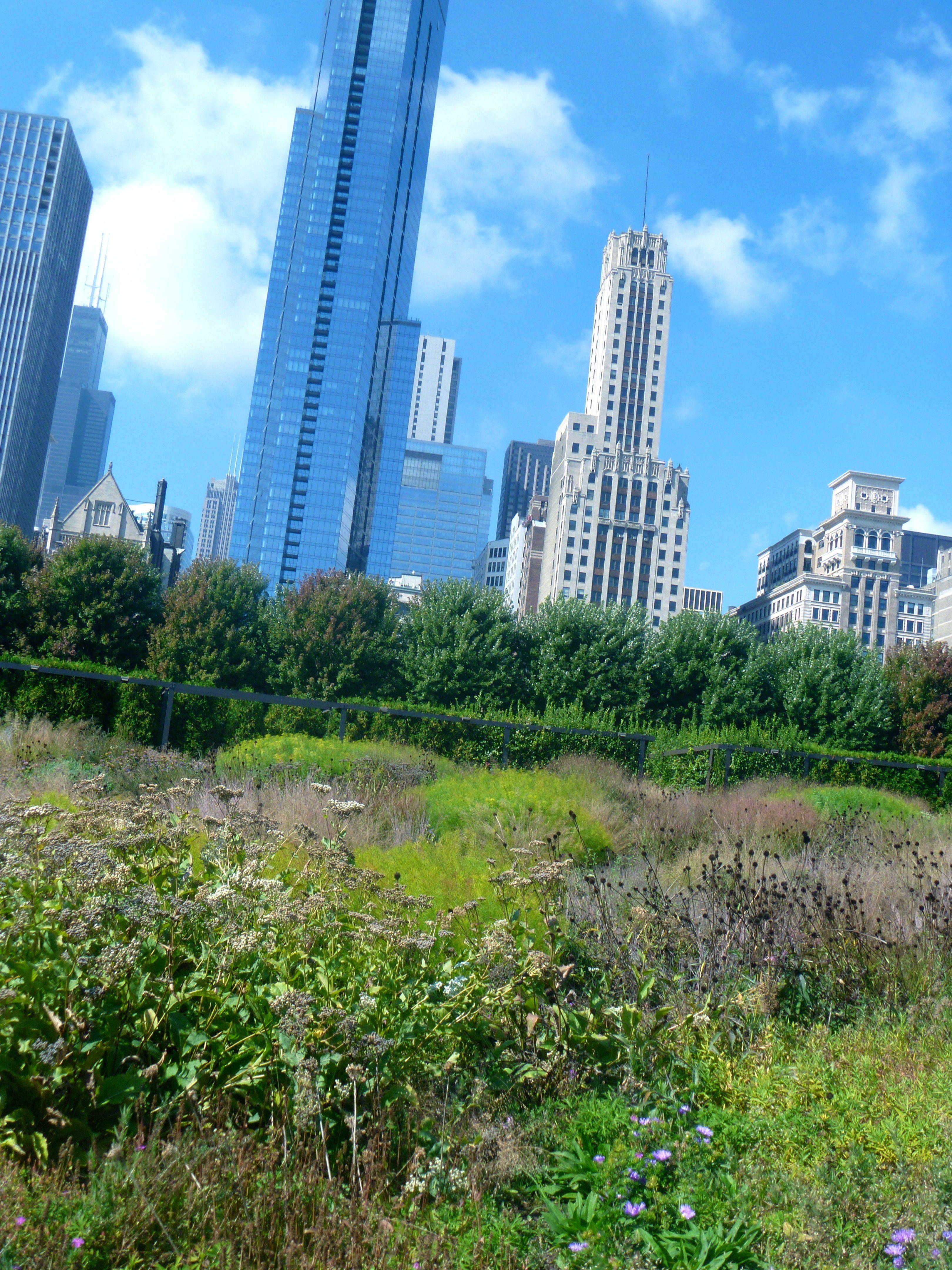 Chicago Millennium Park