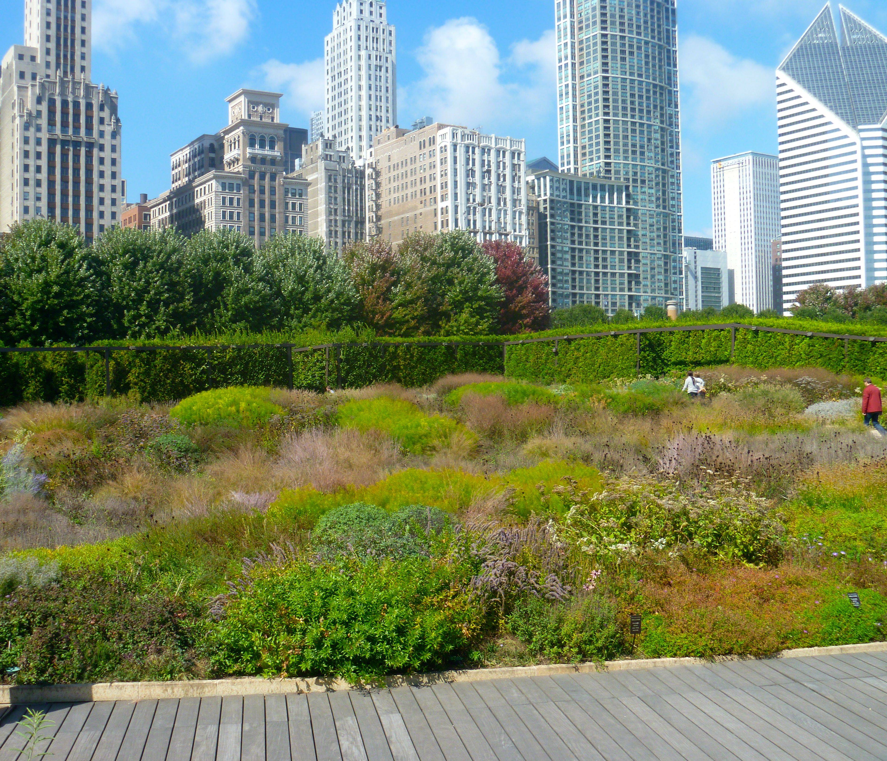 Combinations Urban Garden