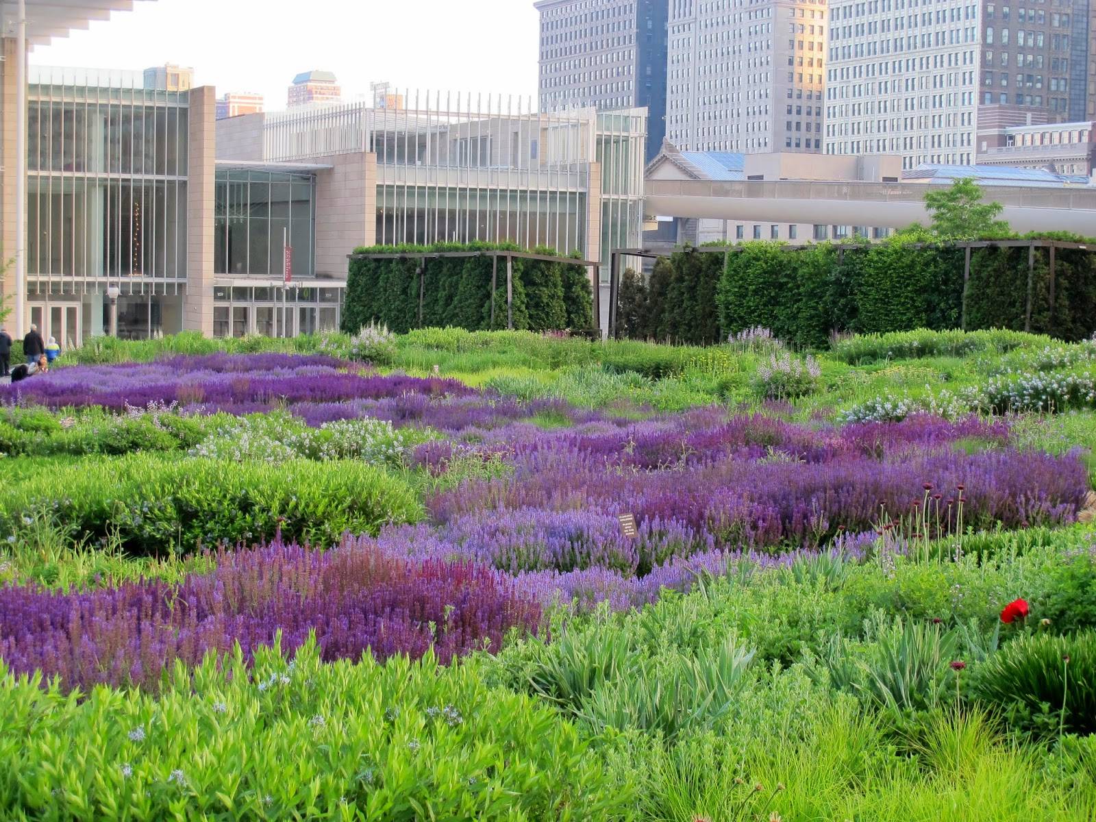 Gardeninacity Naturalistic Garden