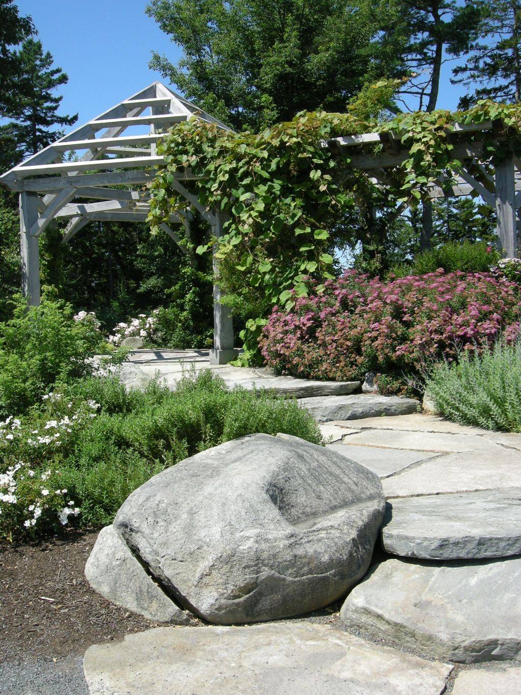 Best Hosta Gardens Design Ideas