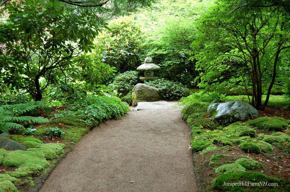 Portland Maine Garden Hose Repair Ideas Traditional Landscapewith Maine