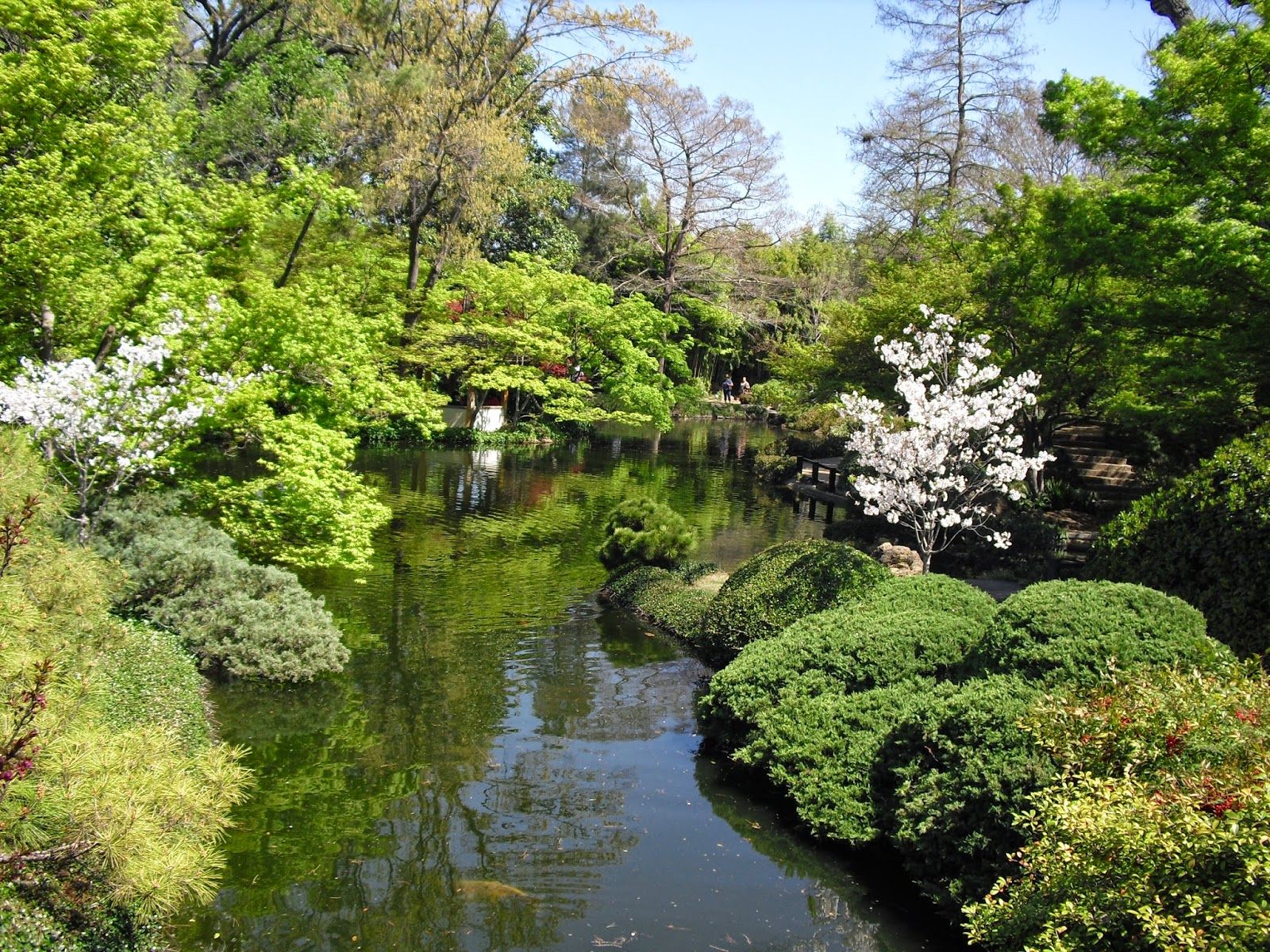 Fort Worth Japanese Garden