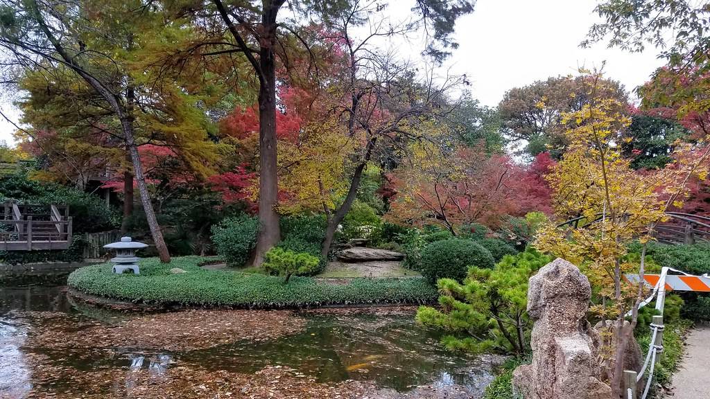 Fort Worth Japanese Garden