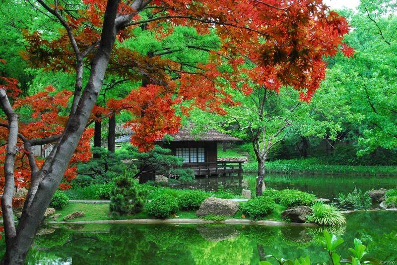 Japanese Gardens