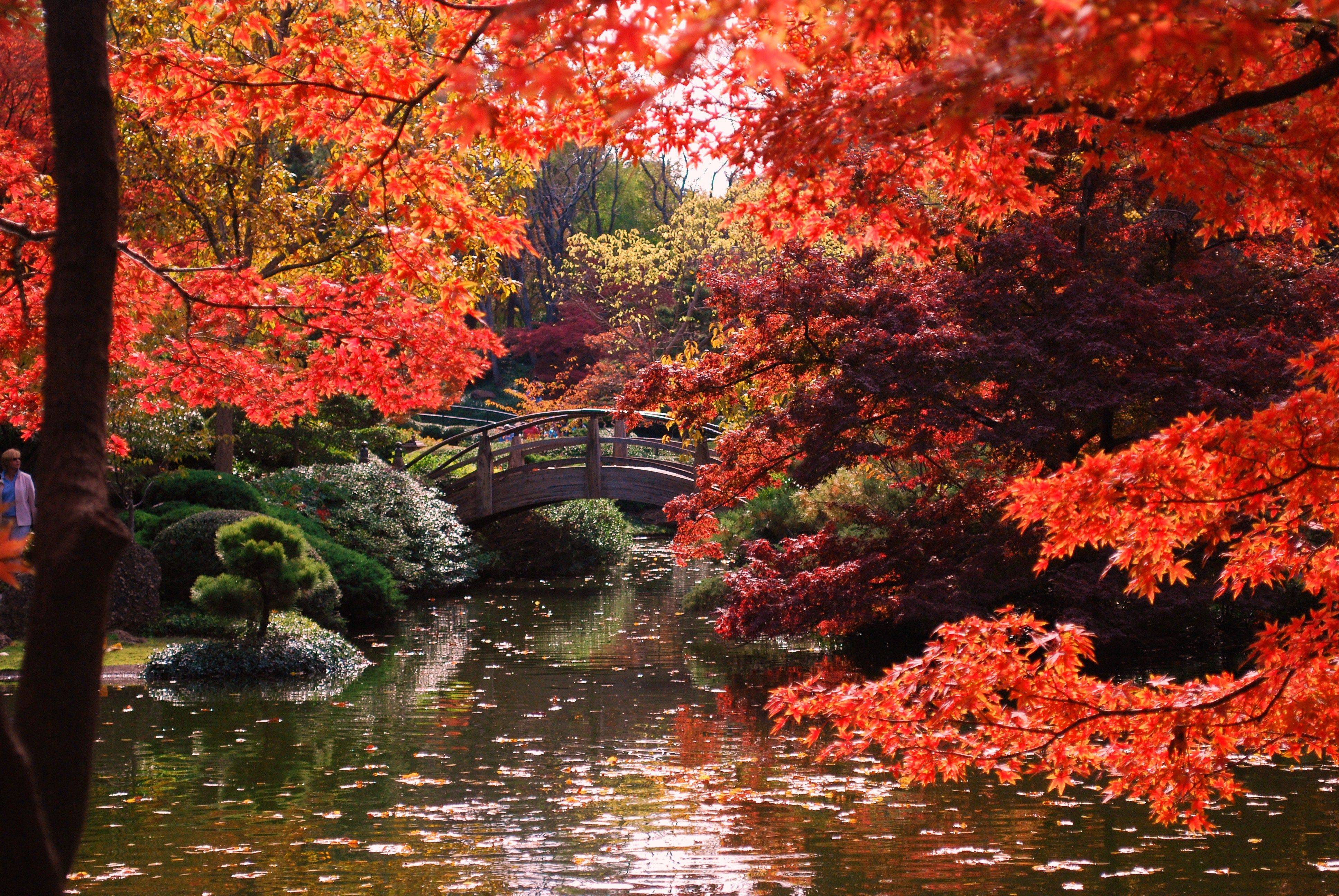 Japanese Gardens