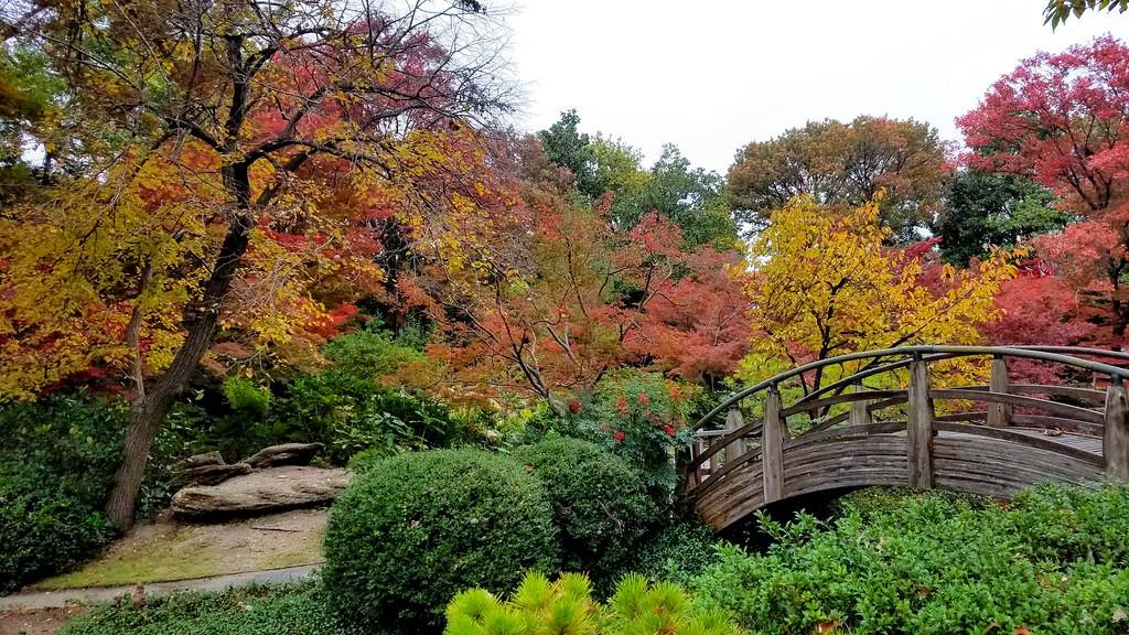 The Japanese Gardens Fort Worth
