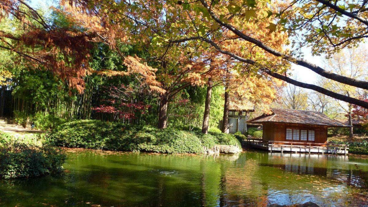 The Japanese Gardens Fort Worth
