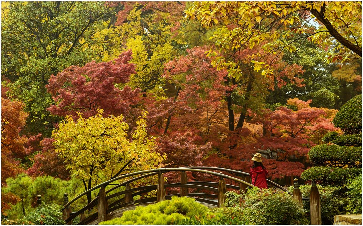 Fort Worth Japanese Gardens Japanese Garden