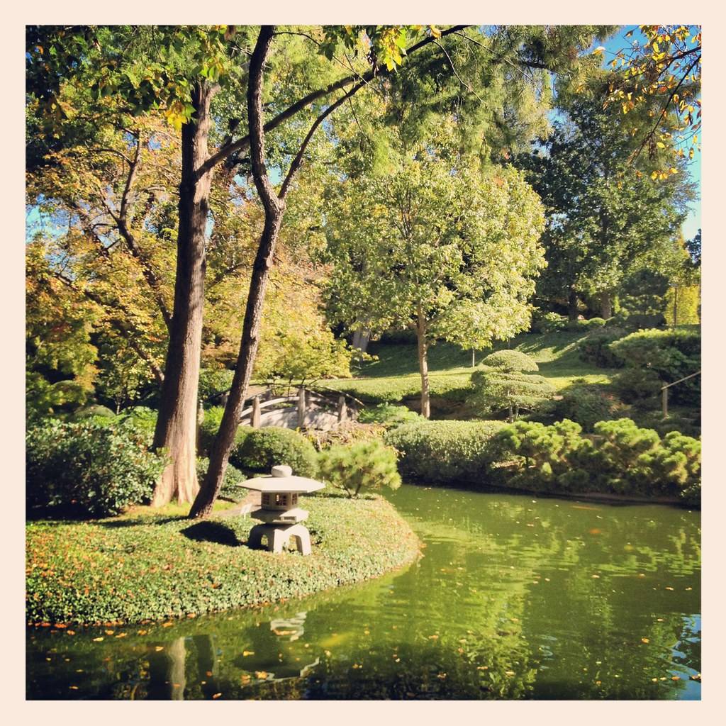 Fort Worth Botanical Gardens Fall Color
