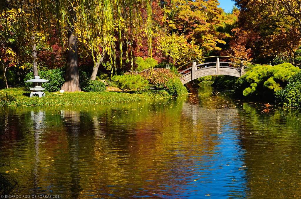 Fort Worth Botanical Gardens Fall Color