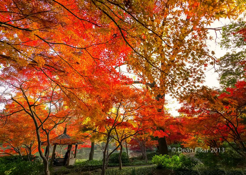 Fort Worth Botanical Gardens Fall Color