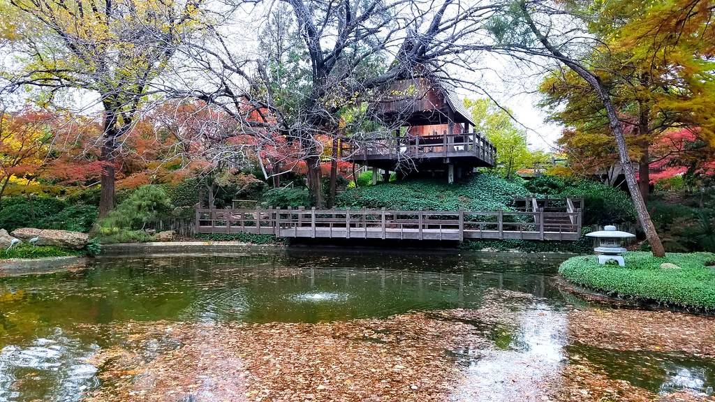 Japanese Garden Fort Worth
