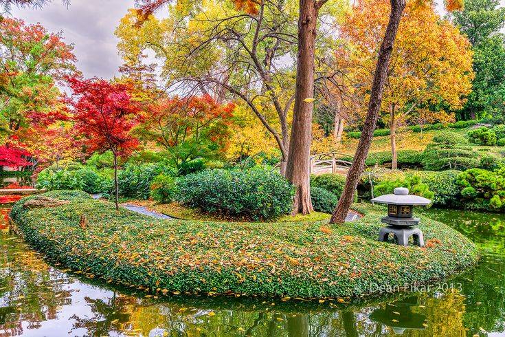 Japanese Gardens Fall Festival