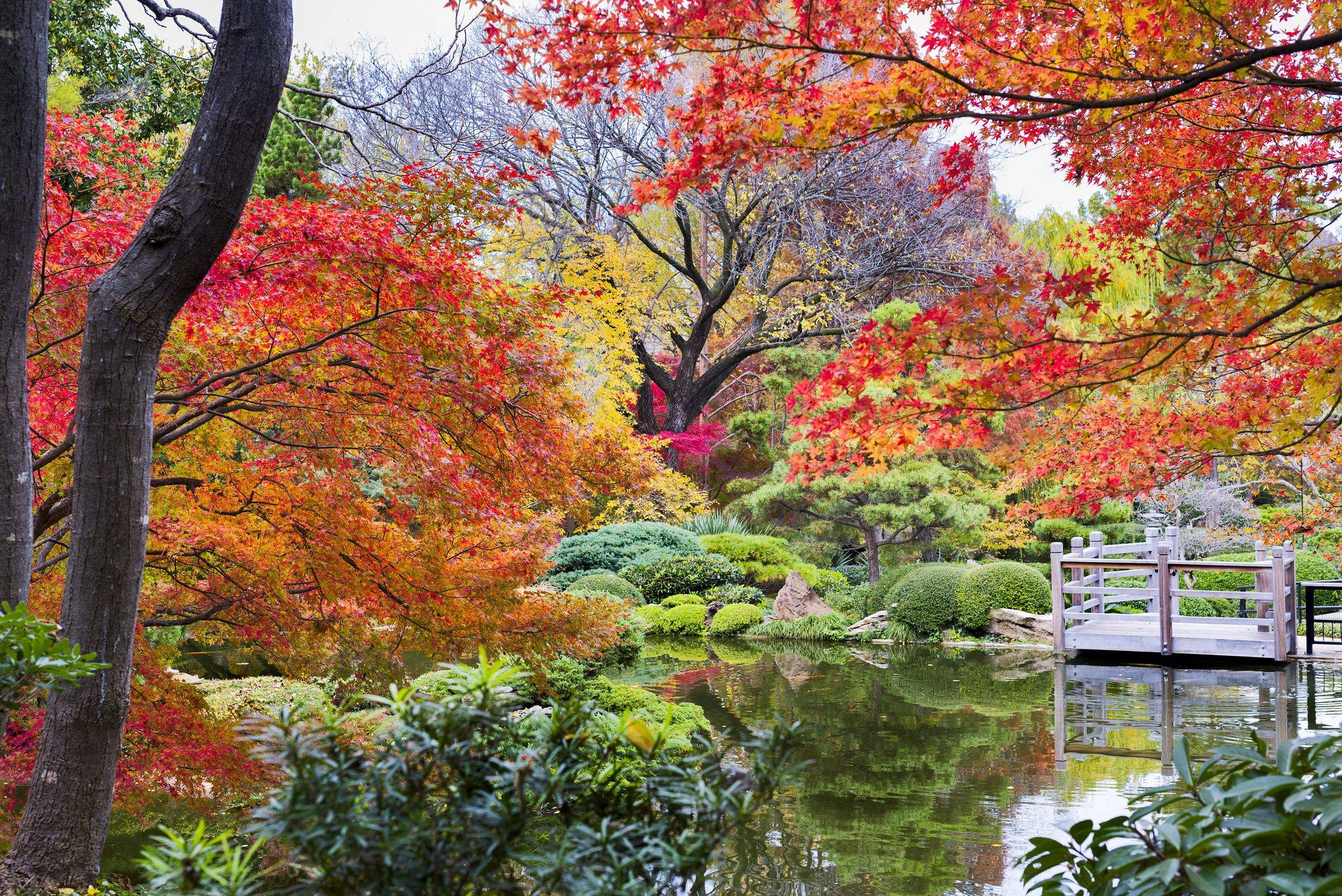 Fort Worth Japanese Garden