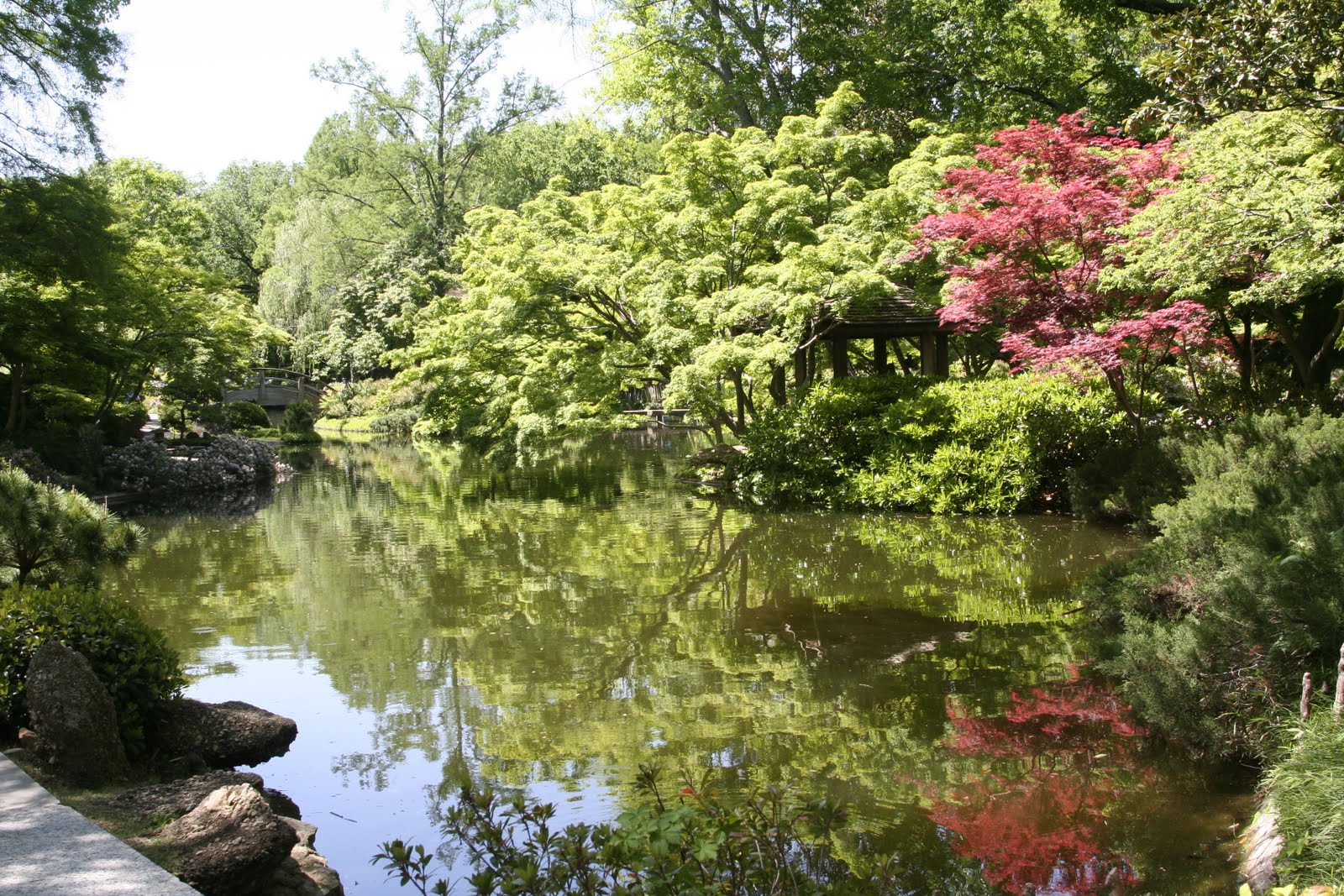 Green Fort Worth Botanical Japanese Garden Texas