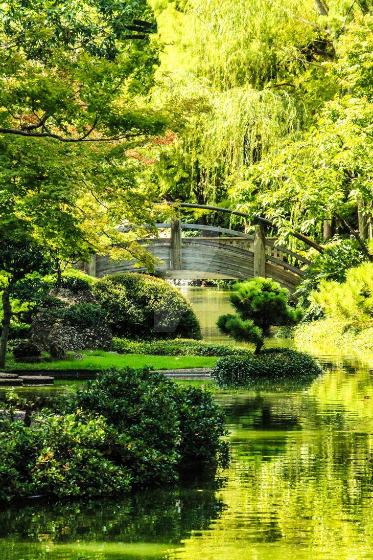 Fort Worth Botanical Gardens