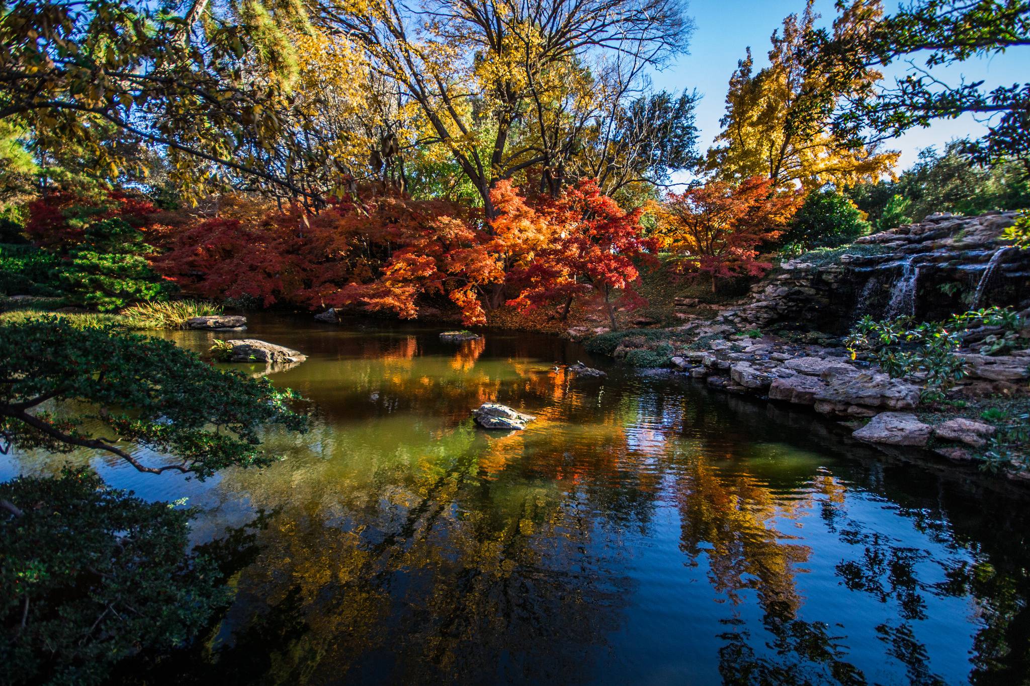 Fort Worth Botanical Garden Japanese Garden