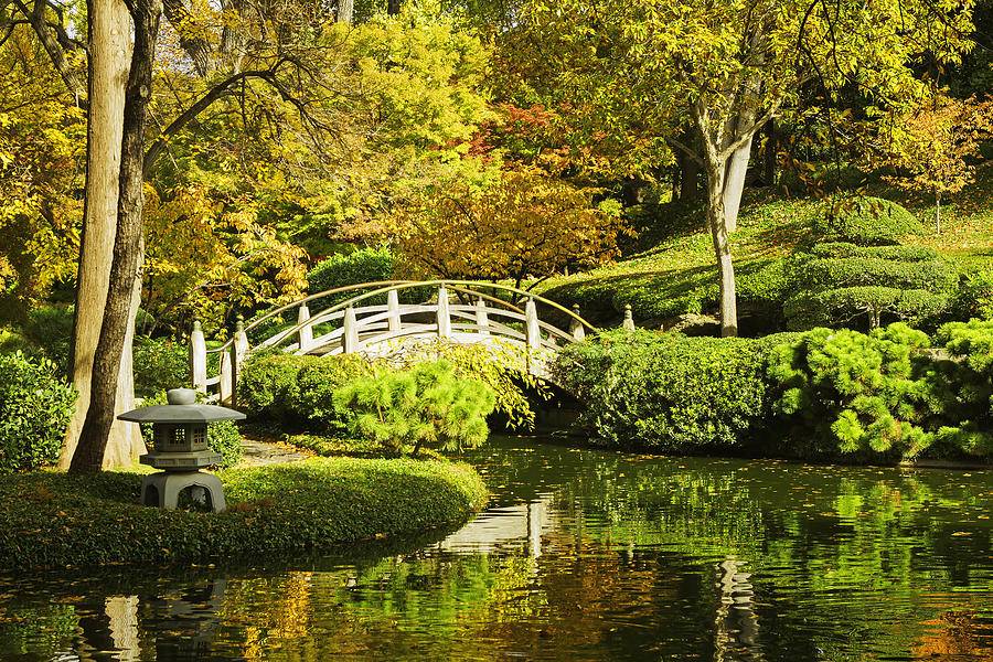 Japanese Gardens Fall Festival