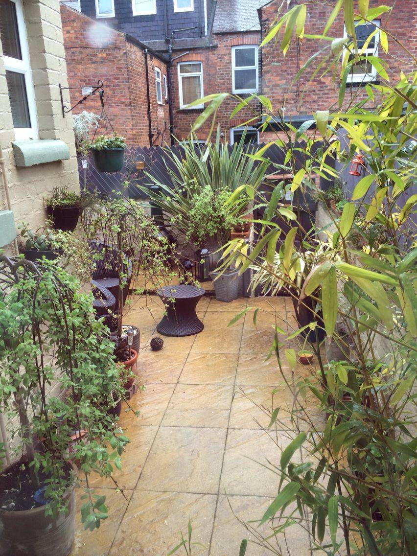 A Rain Garden