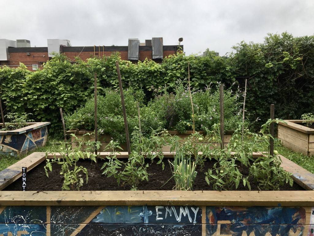 Five Rainy Day Gardening Ideas