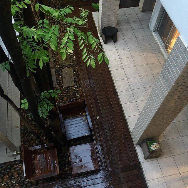 Video Garden Design