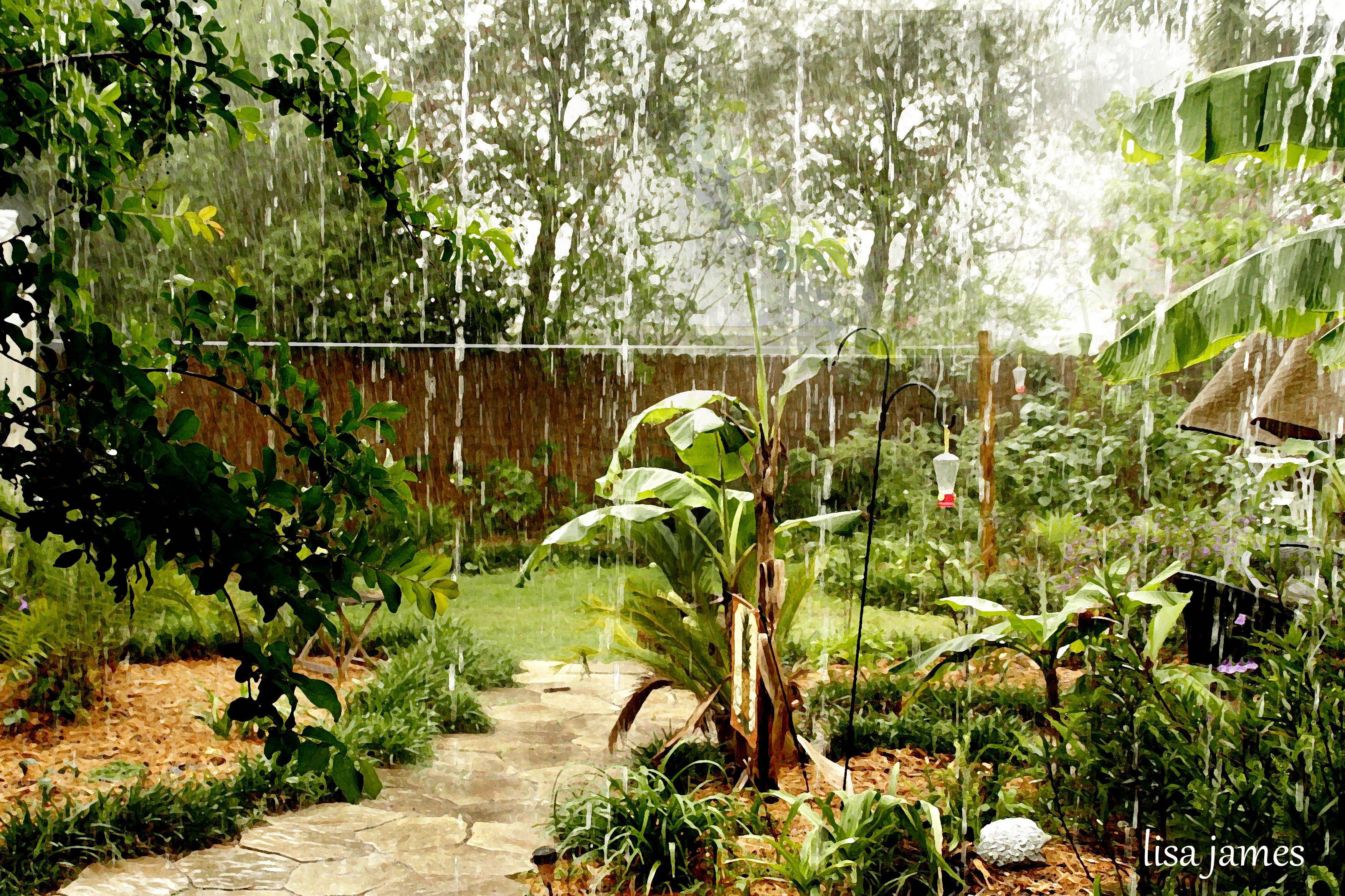 Garden Dreaming