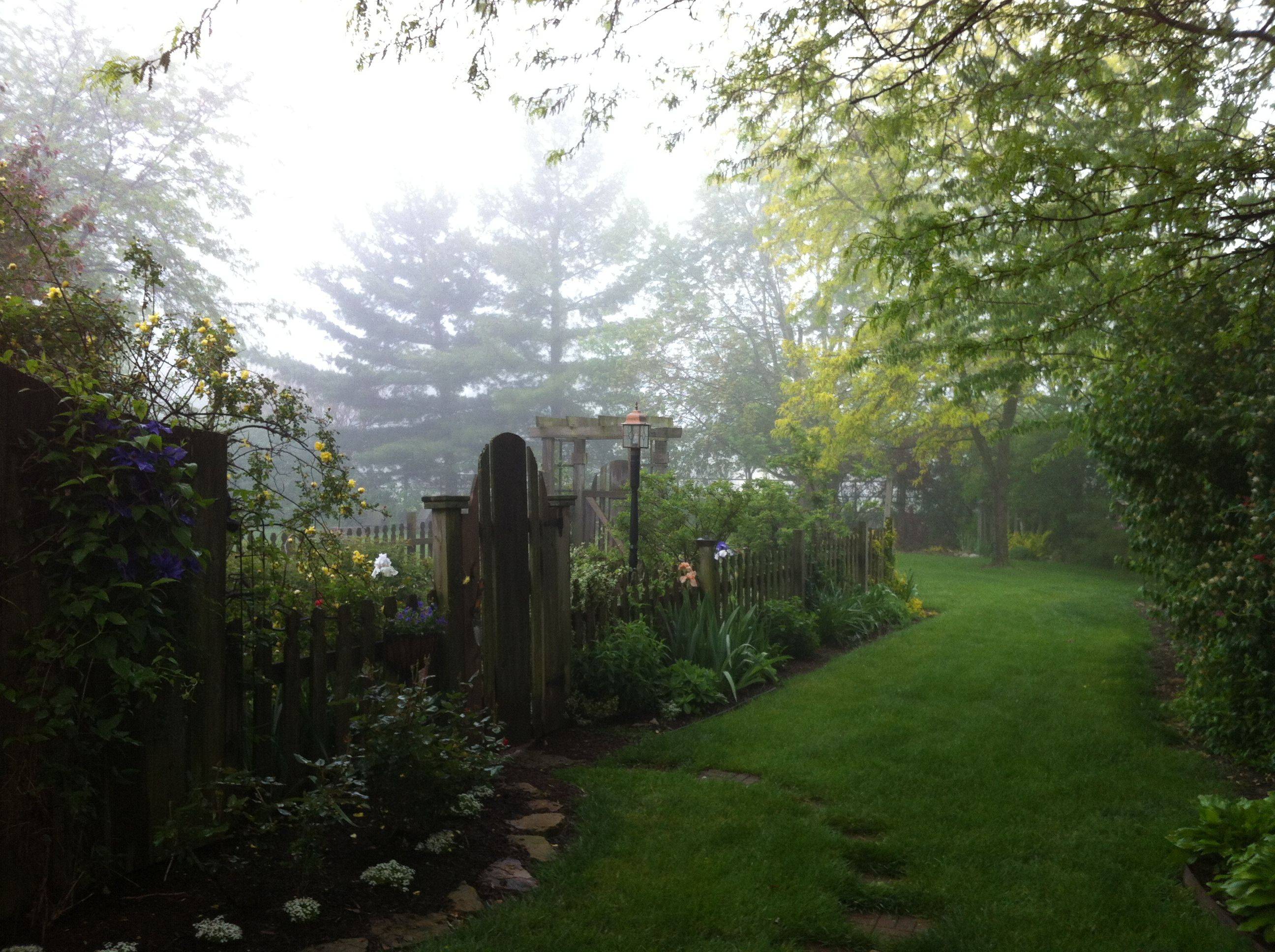 Garden Dreaming