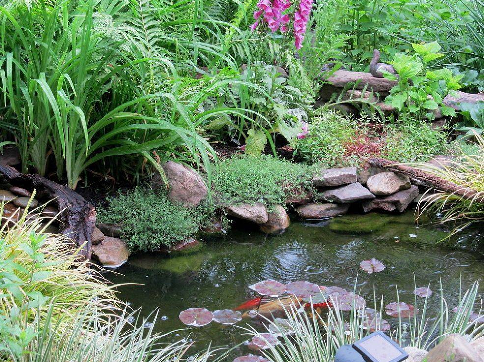 Meditation Pbmgardengarden