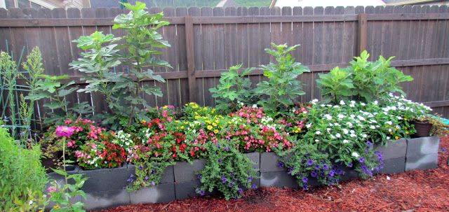 Decking And Pergola Design Ideas