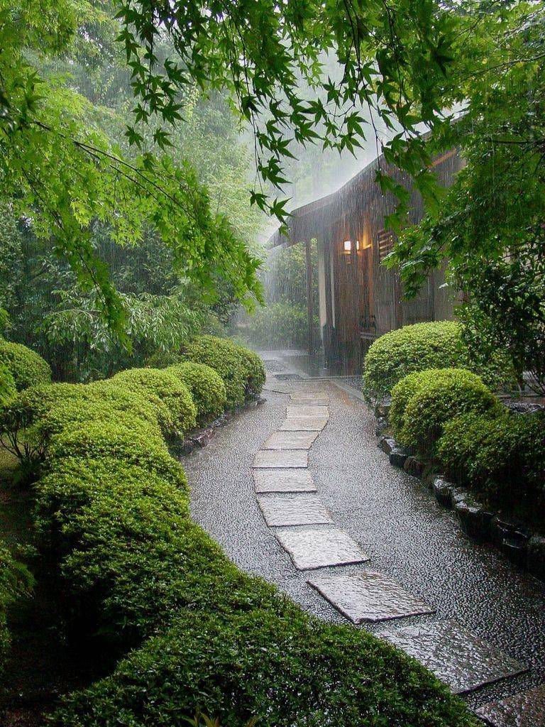 Rainy Day Backyard