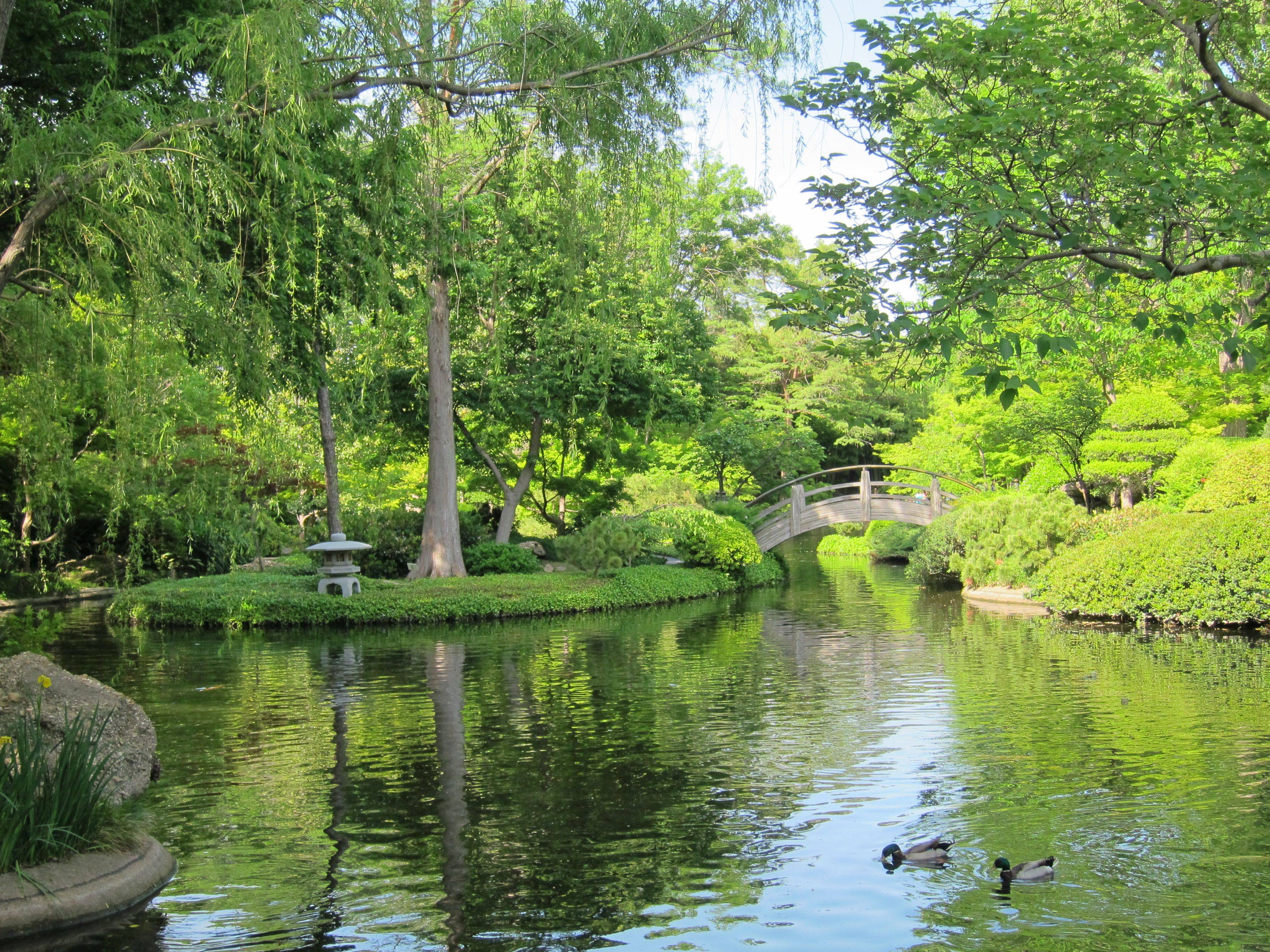 Japanese Gardens Fort Worth Botanical Gardens